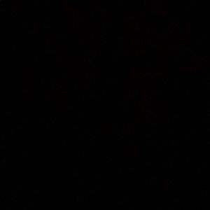 Meet your Posher, Leila